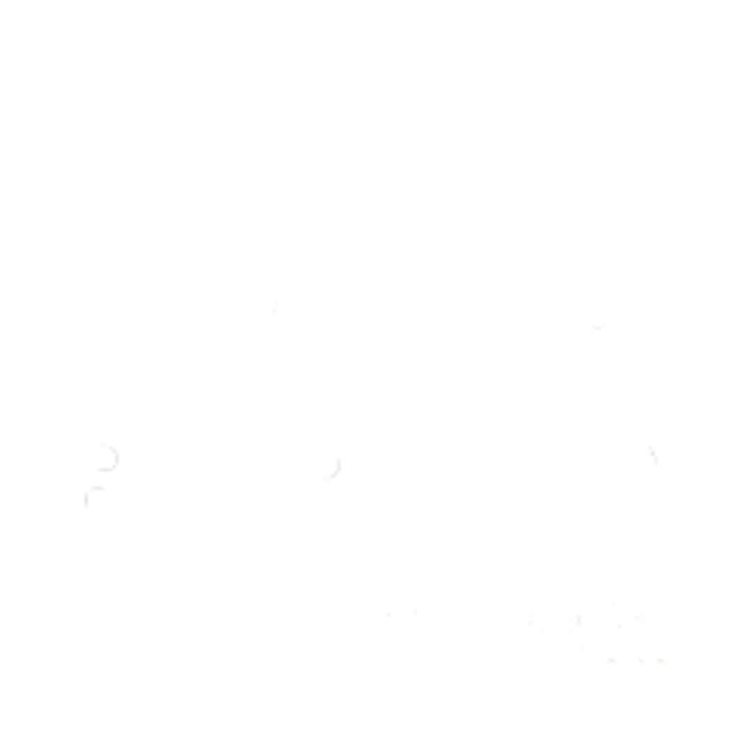 (007)