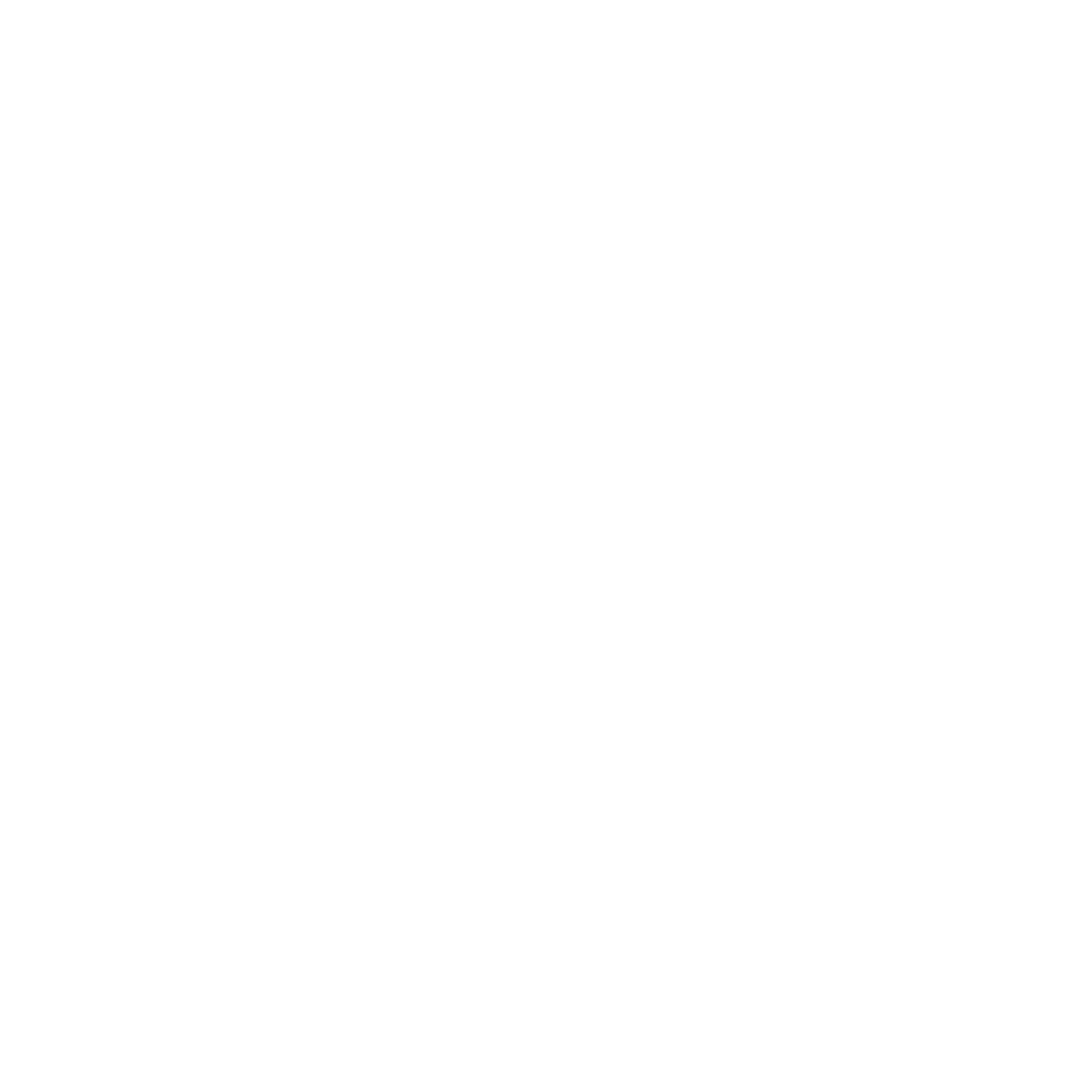 (009)