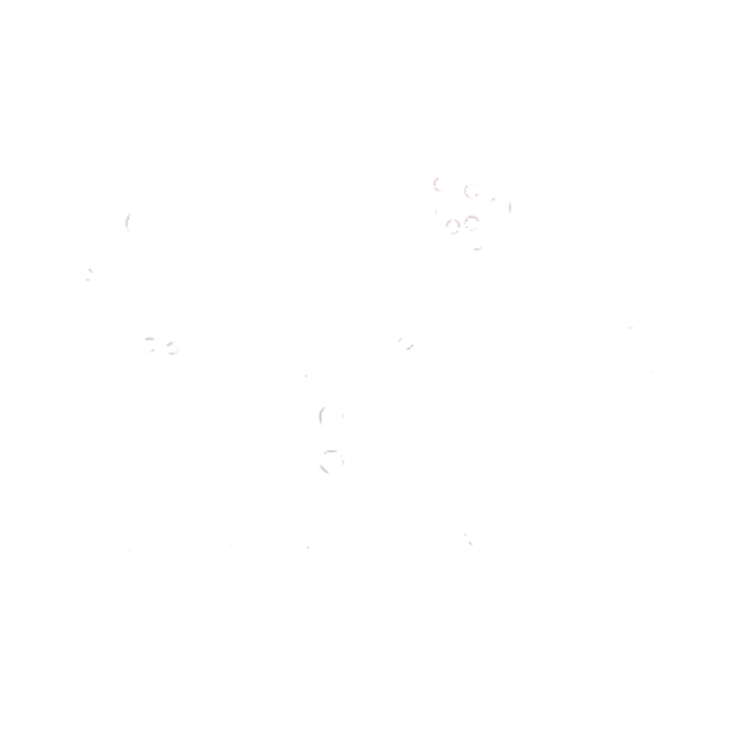 (026)