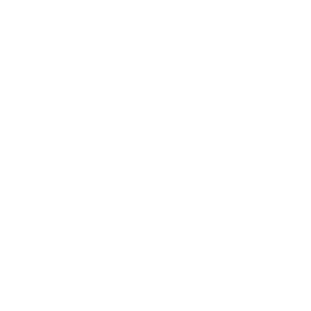 (095)